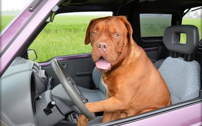 Goedkoop je rijbewijs halen? Dat kan!